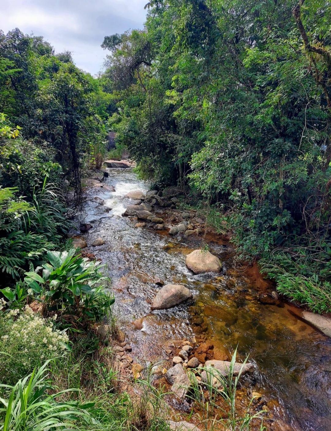 Pousada Sitio Monte Sinai São José do Barreiro Kültér fotó