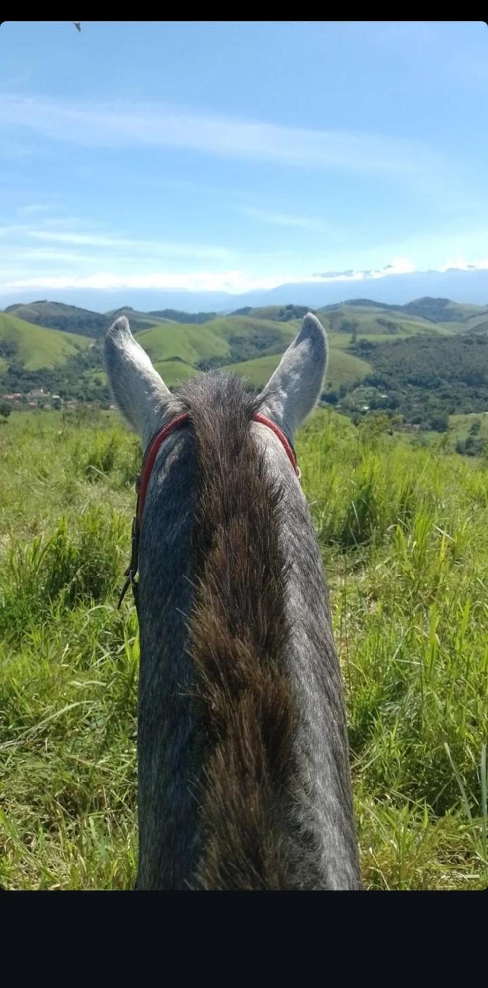 Pousada Sitio Monte Sinai São José do Barreiro Kültér fotó