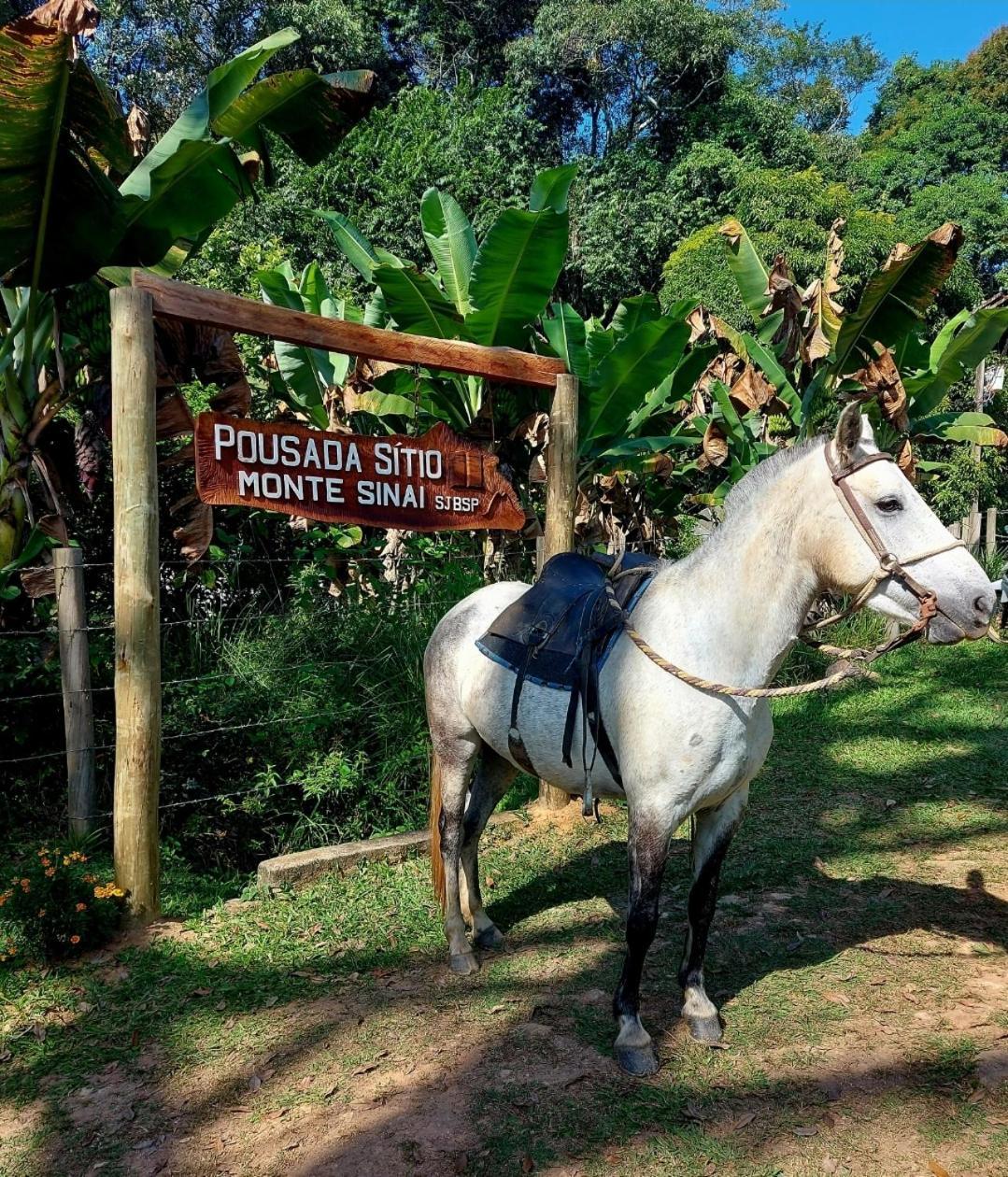 Pousada Sitio Monte Sinai São José do Barreiro Kültér fotó