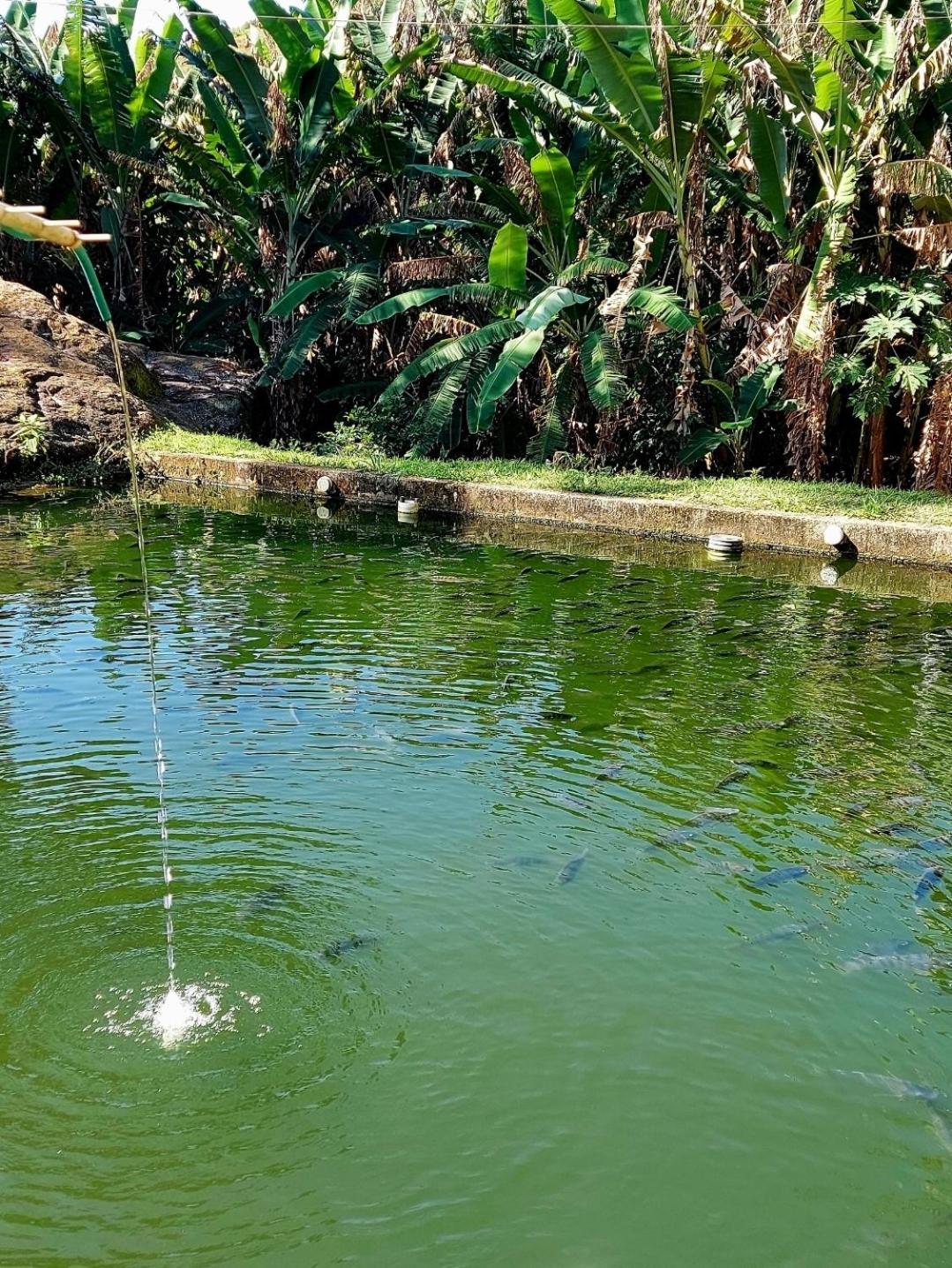 Pousada Sitio Monte Sinai São José do Barreiro Kültér fotó