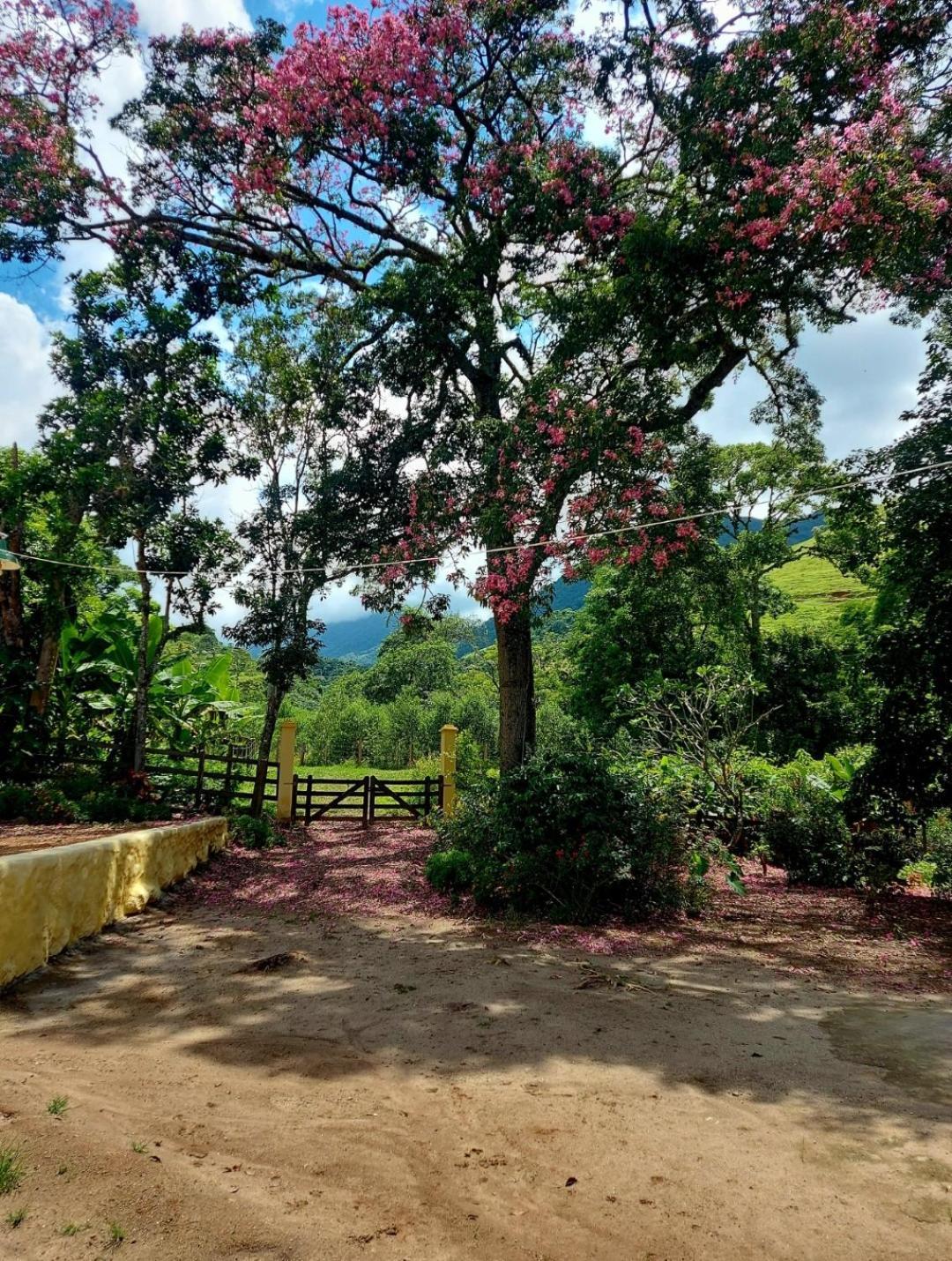 Pousada Sitio Monte Sinai São José do Barreiro Kültér fotó